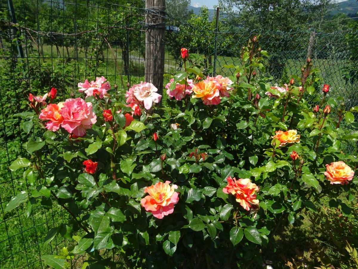 La Fattoria Al Crocefisso Country house